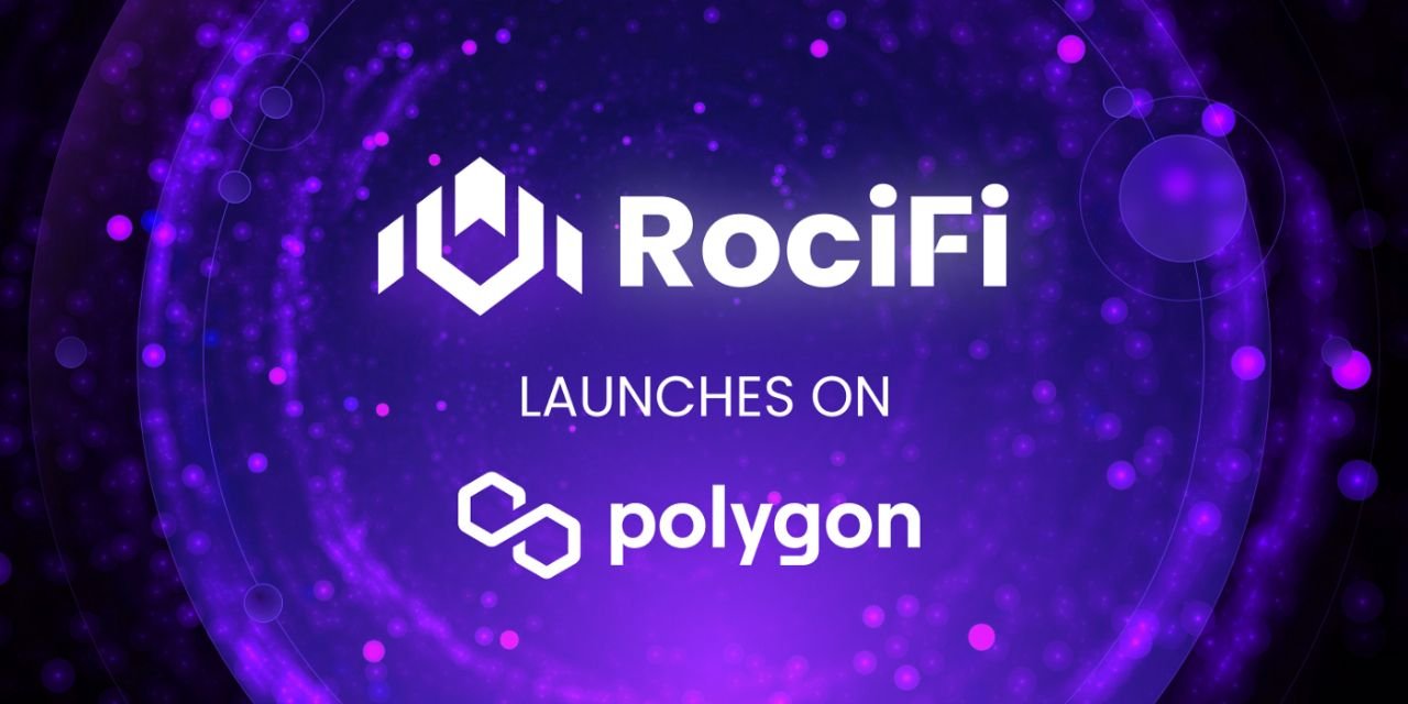 RociFi DID credit scoring dashboard