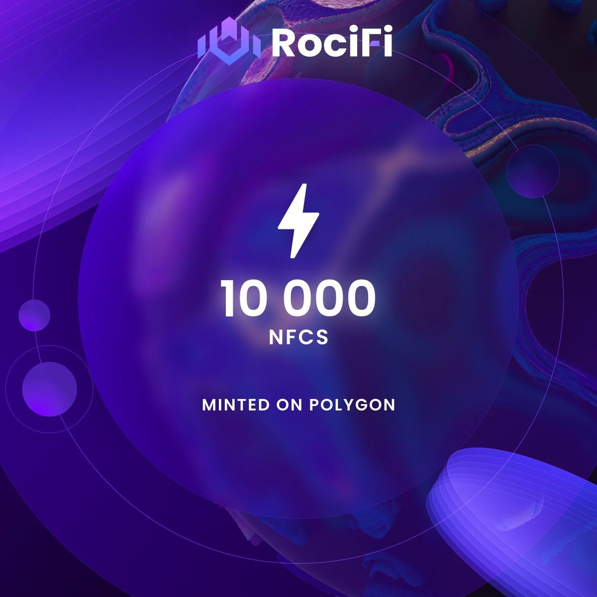 RociFi DeFi lending platform dashboard