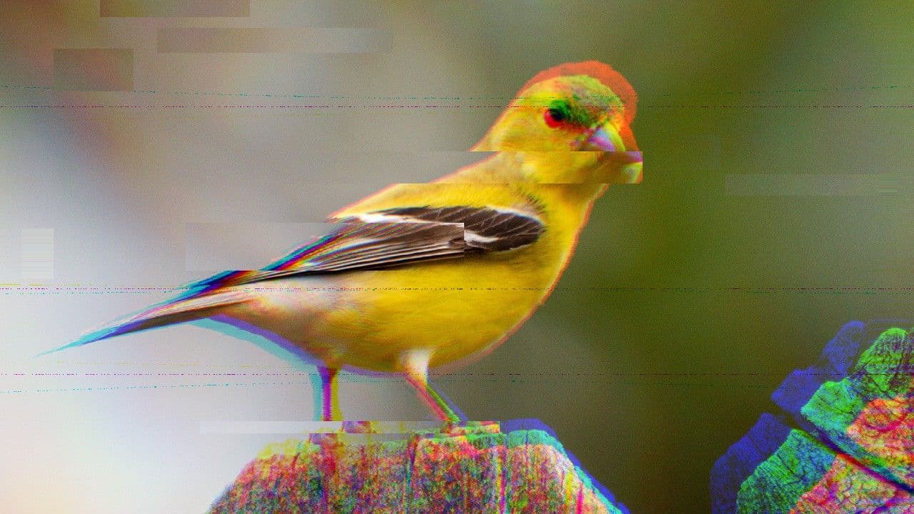 Goldfinch DeFi lending platform interface